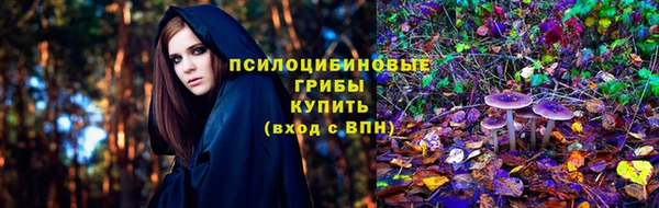 стафф Абинск