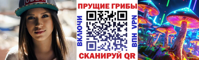 где купить наркоту  Абдулино  мориарти наркотические препараты  Галлюциногенные грибы Cubensis 